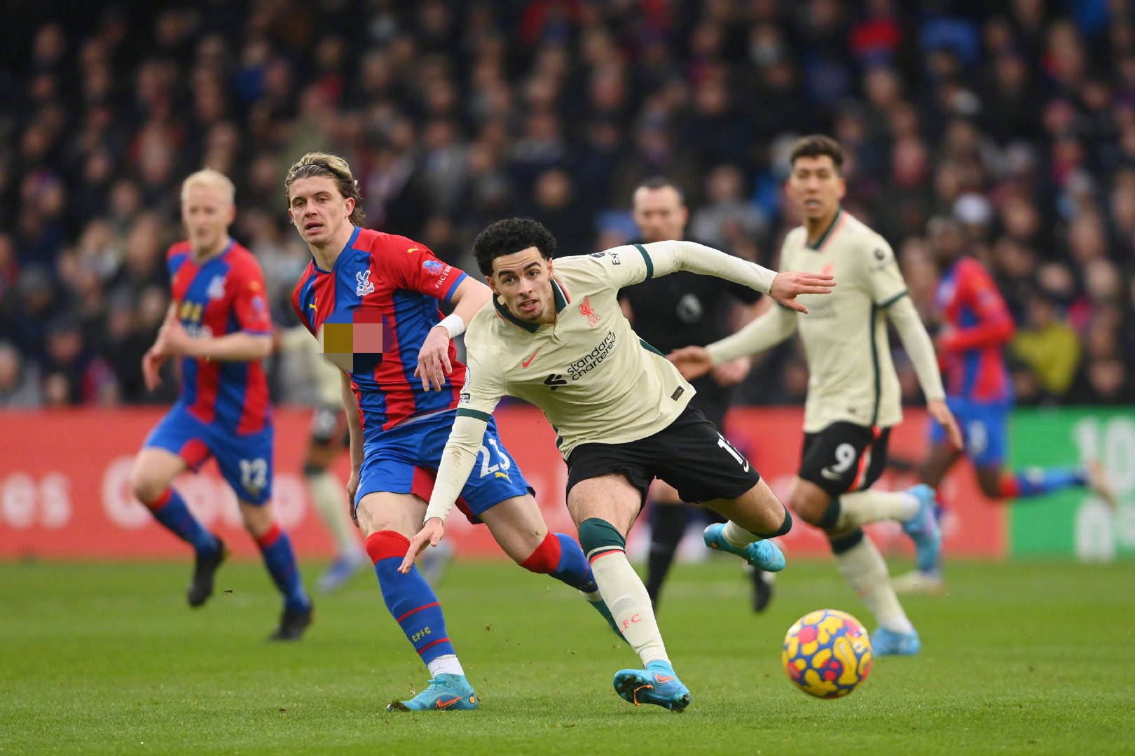 们更注重分 们更注重分